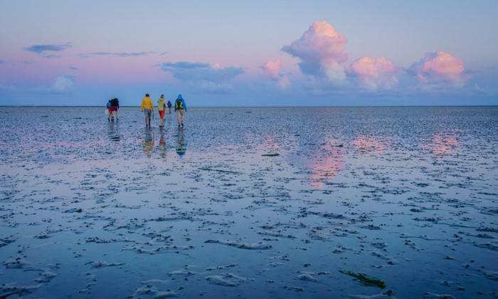 Отель Vakantieverblijf Aan De Dijk Хипполитюсхуф Экстерьер фото